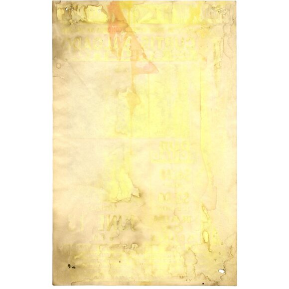 Curtis Salgado Dub Squad 1992 Eugene Concert Poster – Music on the Mall Fund - Picture 2 of 2